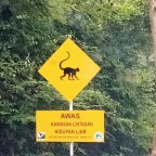 Warnung: Wunderliche Prinzen
