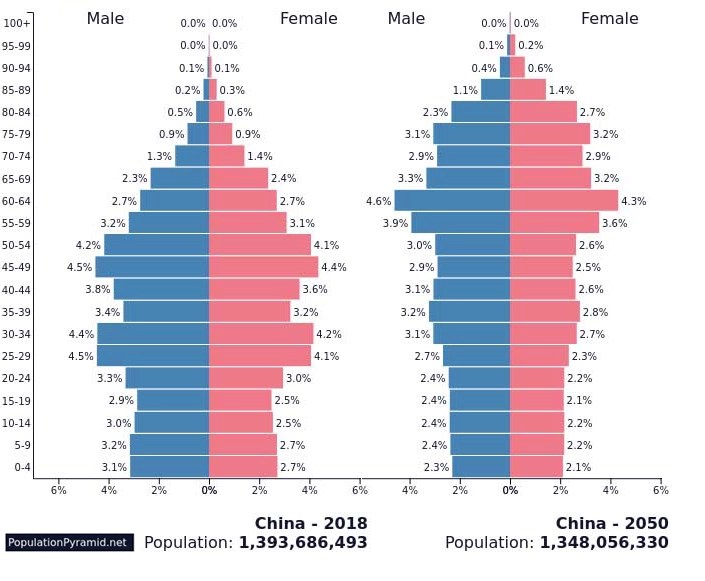 Quelle Bevölkerungspyramide: visualcapitalist.com