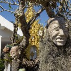 Chiang Rai: Wichtiges und Unwichtiges