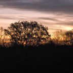 Reha-Poesie: „The Morning Never Dies“